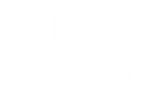 spadlux home improvement